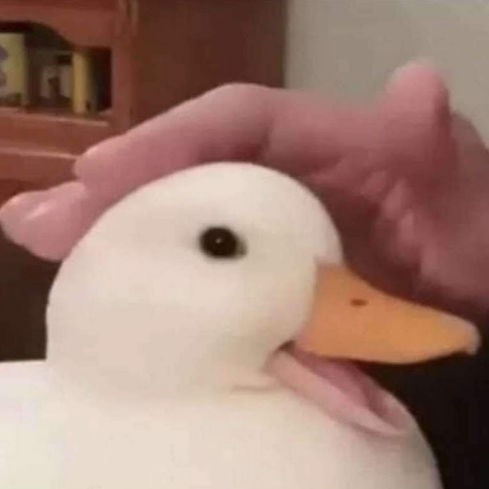 Meet your Posher, Mackenzie